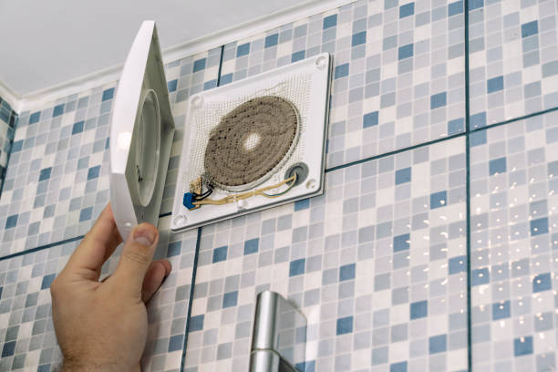 Best Home Air Vent Cleaning  in Indian Lake, MO